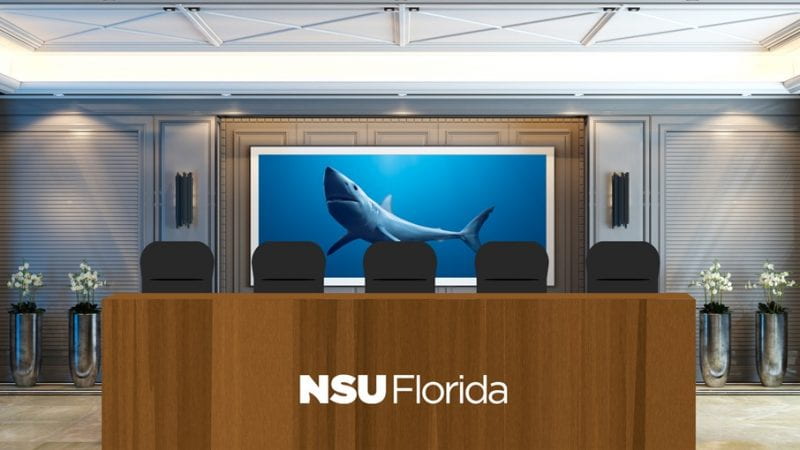 NSU Florida Brand Template
