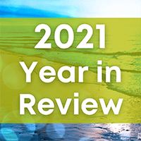 2021 Year in Review Icon